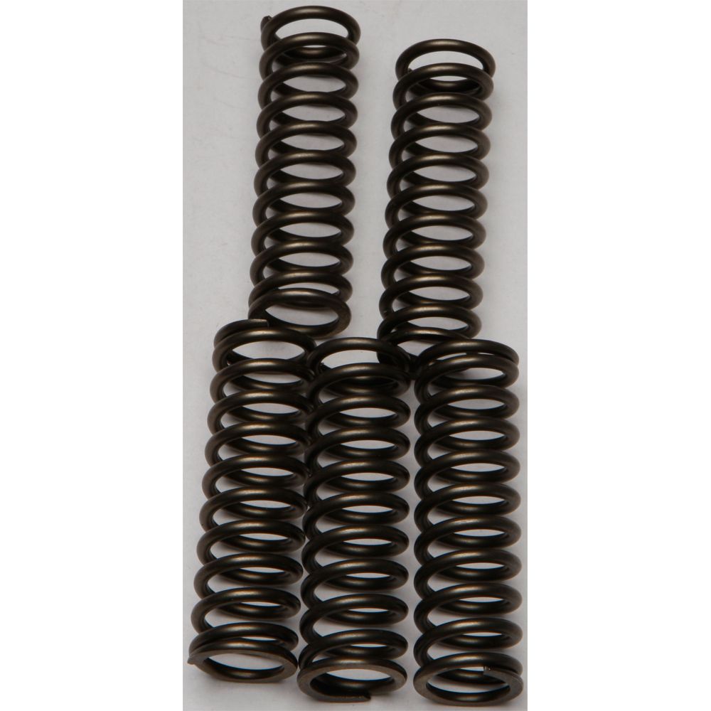Clutch Springs Csk169