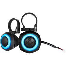 Cage Mount Tweeters With Rgb Ring