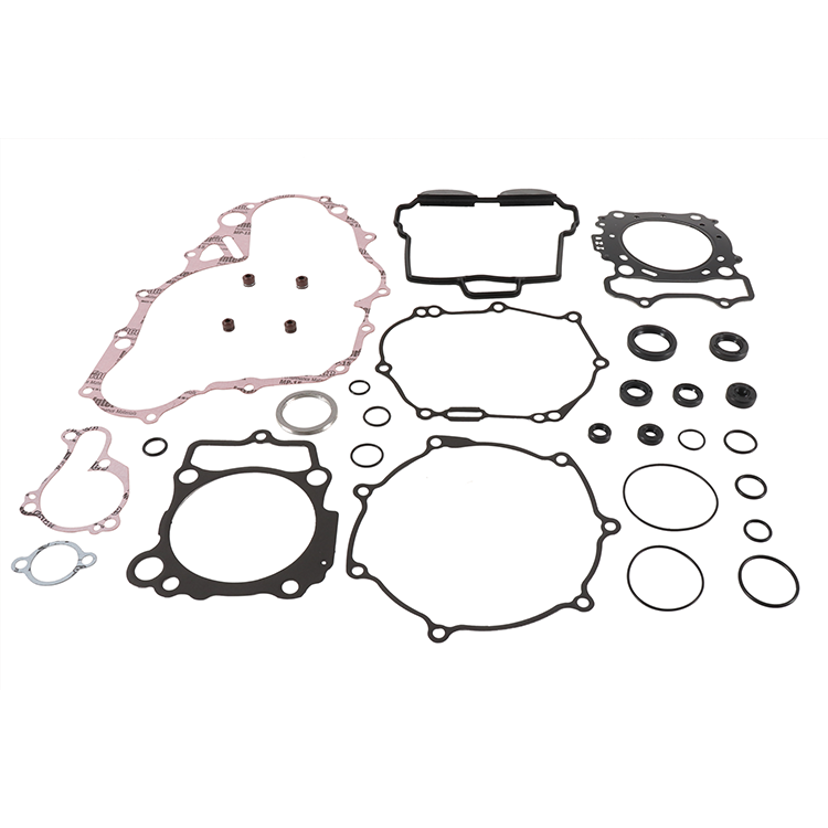 Complete Gasket Set With Oil Seals