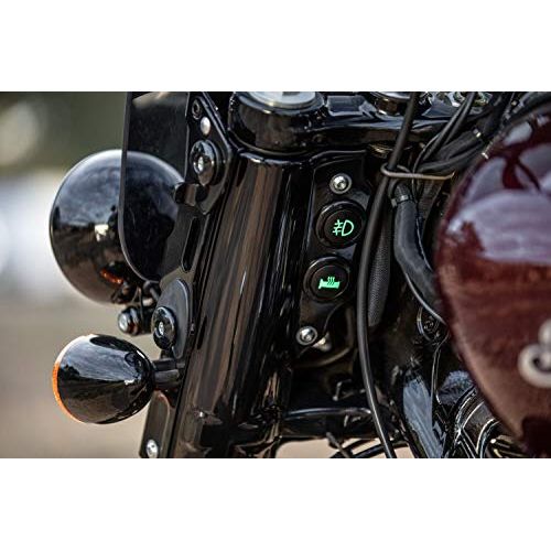 
                      
                        Indian Motorcycle Nacelle Accessory Switch, Cruiser Black - 2884951-266
                      
                    