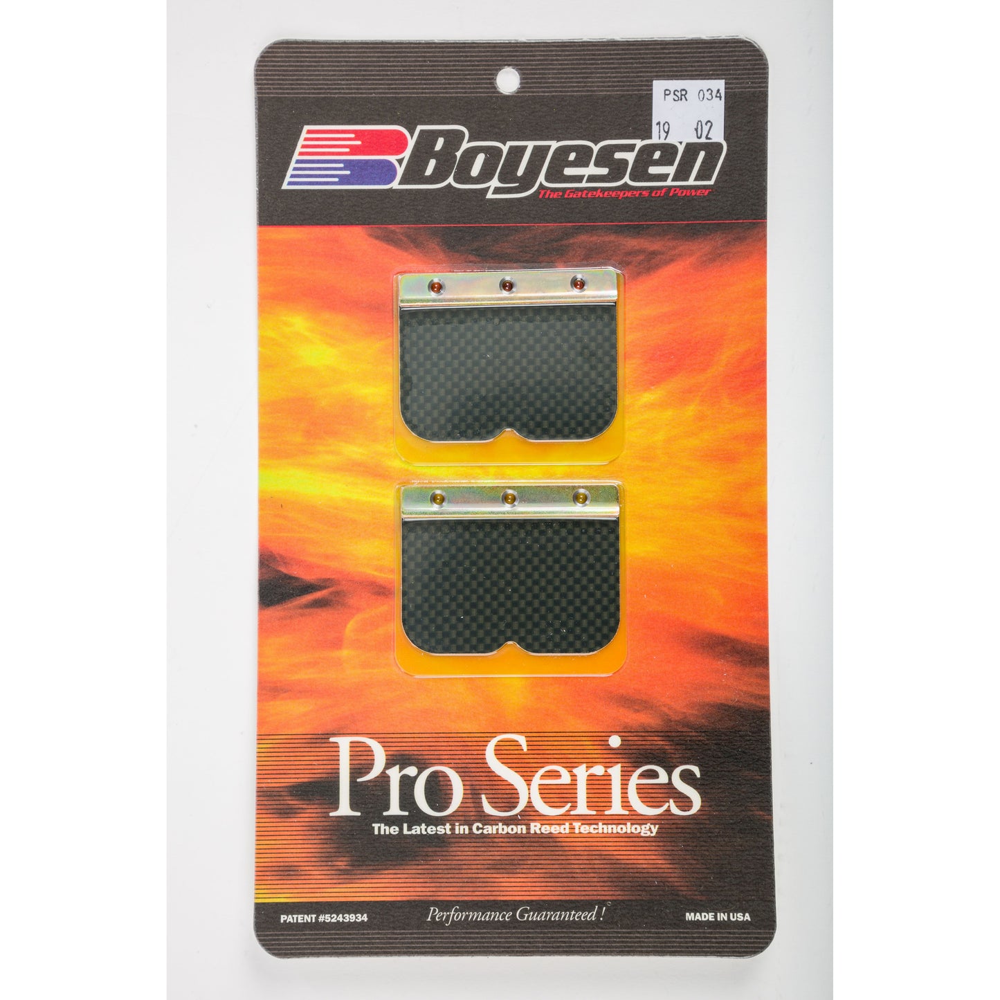 Motorcycle Pro Reeds