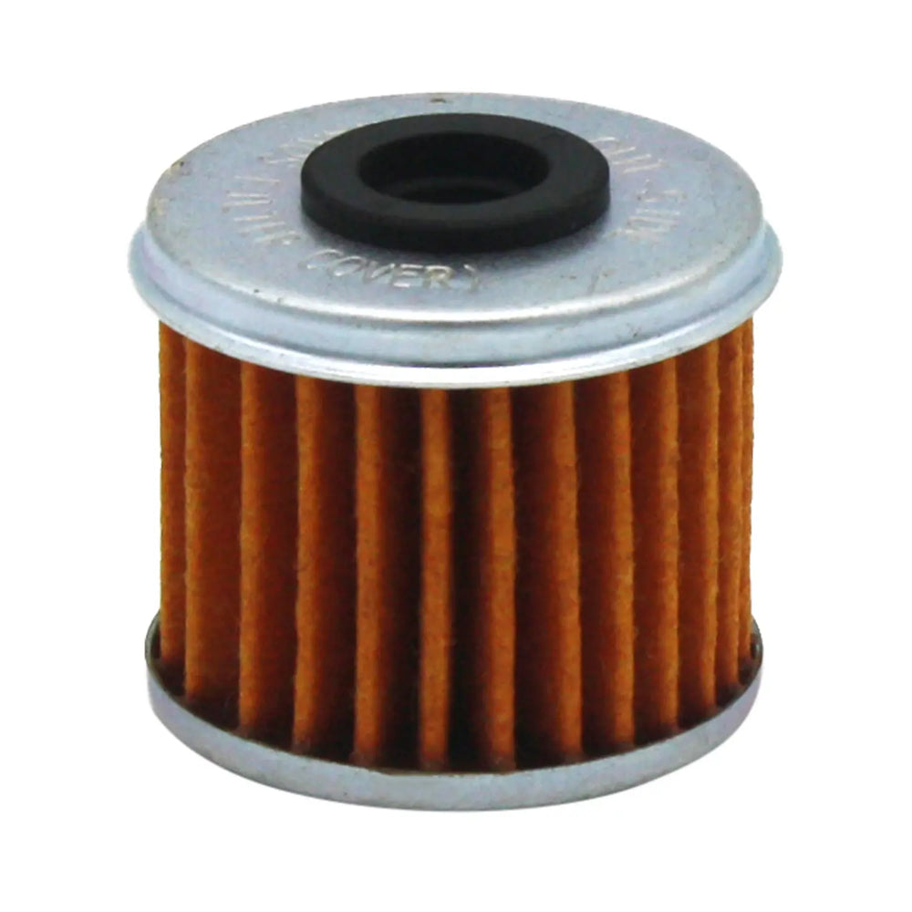 Polaris Filter with O-Ring Assembly, Part 2521231