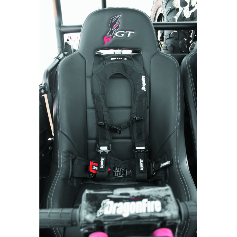 
                      
                        DragonFire Racing Harness Evo- Black
                      
                    