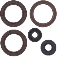 Engine Oil Seal Kit Can
