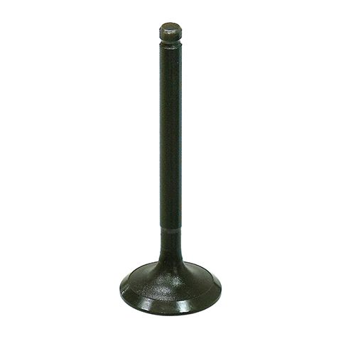 Intake Valve