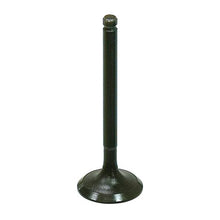 Intake Valve