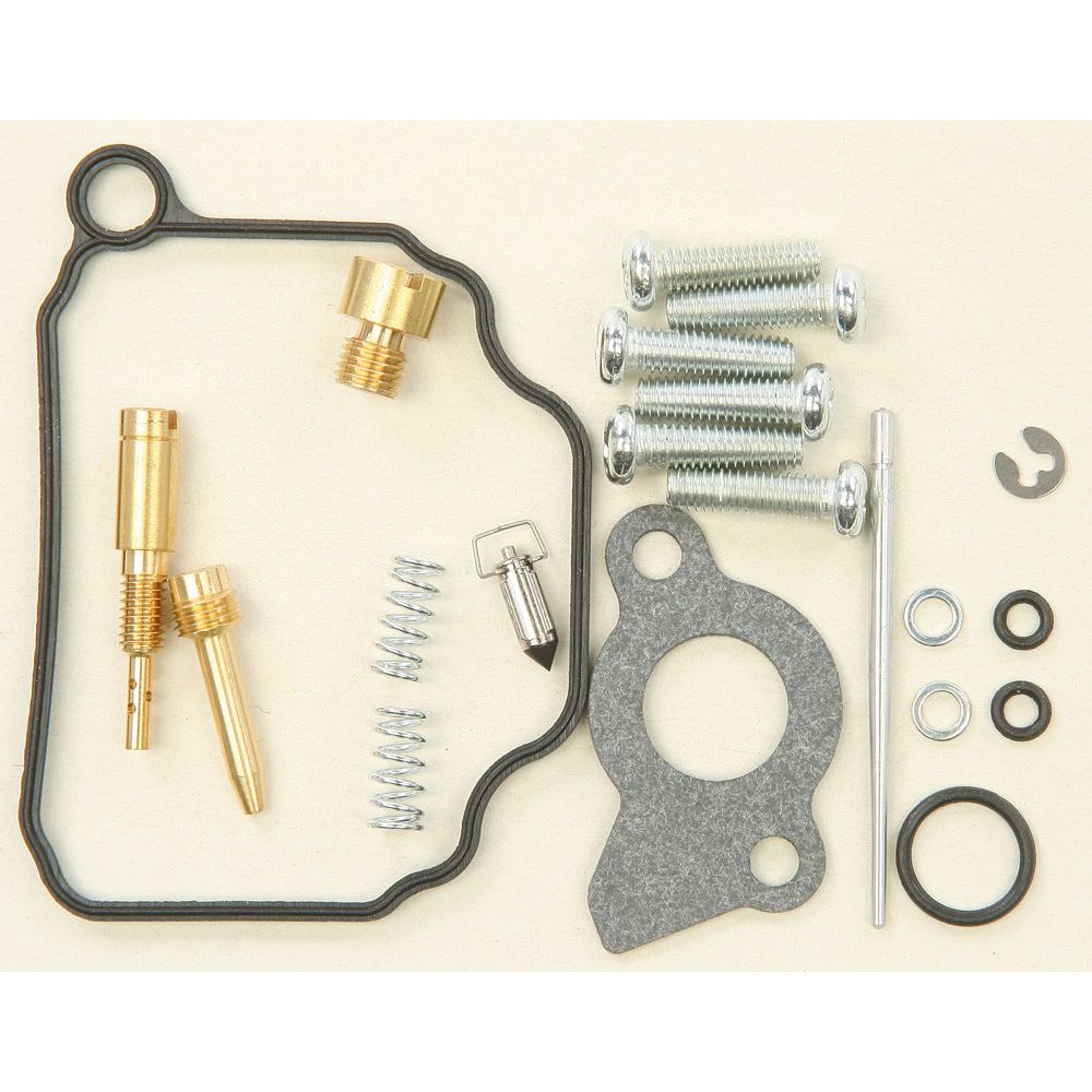 Carburetor Repair Kit