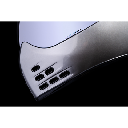 ICON Domain* Helmet - Cornelius - Silver - 3XL 0101-14978