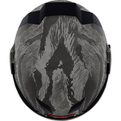 ICON Airflite* Helmet - Tiger's Blood - MIPS? - Gray - Large 0101-16243