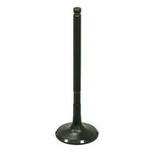 Exhaust Valve