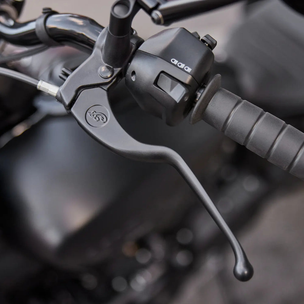 
                      
                        Indian Brake & Clutch Levers, Black - 2890541-1715
                      
                    