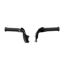 Indian Motorcycle Passenger Pegs, Pair - 2890610-626