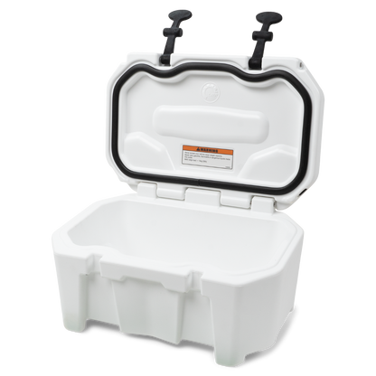 LinQ 4.2 US Gal (16 L) Cooler - 295100698