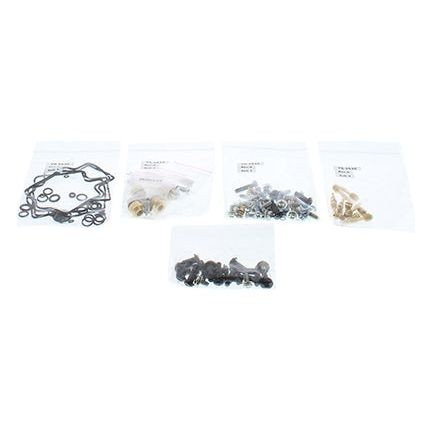 Bike Carburetor Rebuild Kit