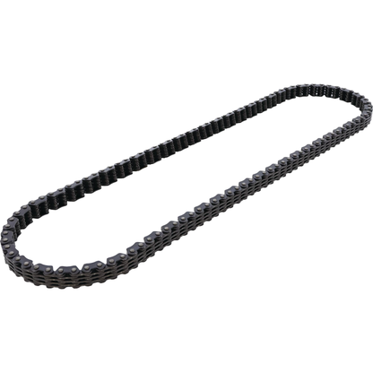 Cam Chain