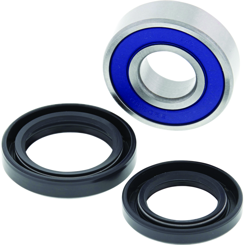 QuadBoss 06-09 Arctic Cat 250 2x4 Lower Steering Bearing Kit