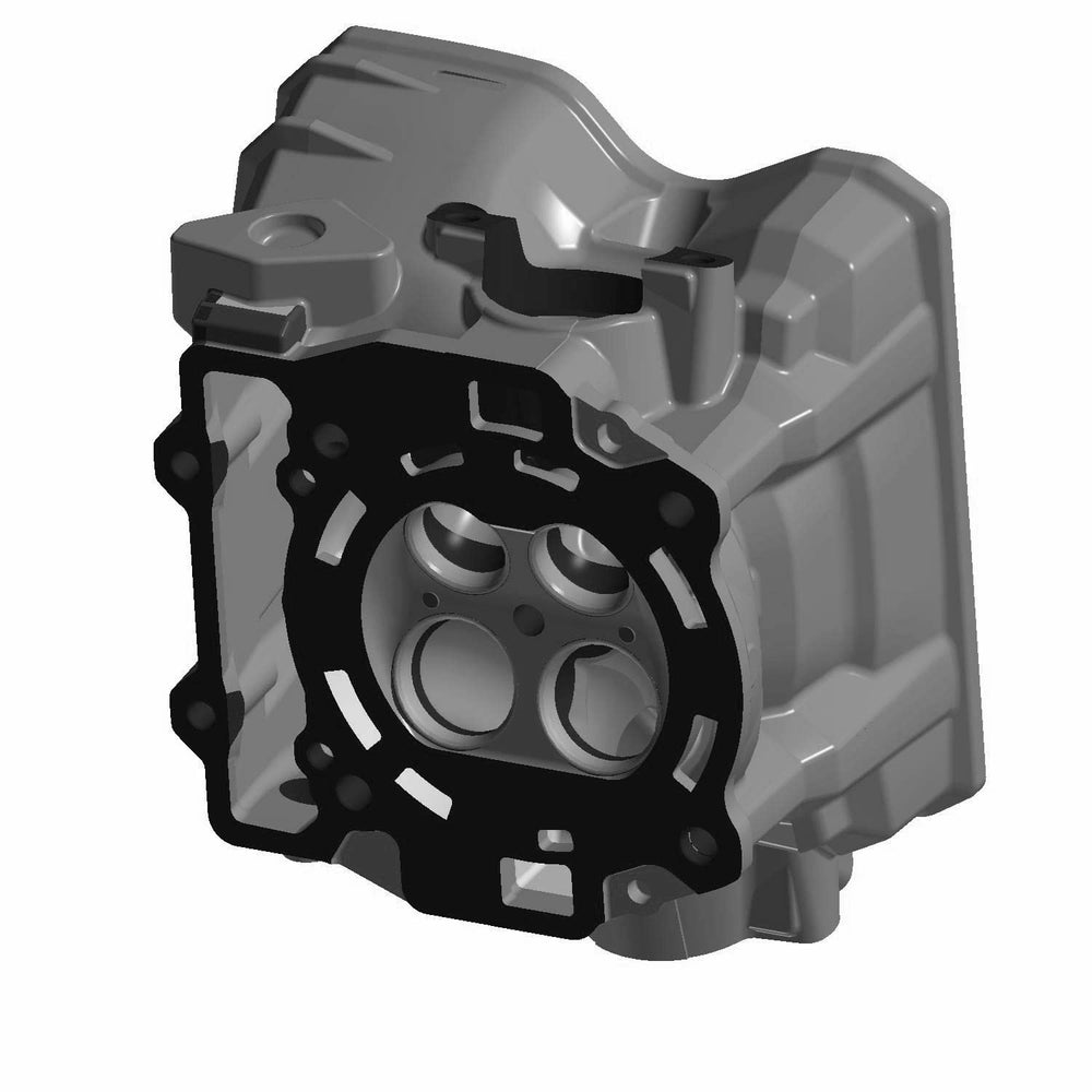 Polaris GEM Cylinder Head Assembly, Genuine OEM Part 3022407, Qty 1