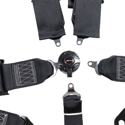 3" 5 Point Cam Lock Harness