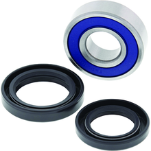 QuadBoss 06-09 Arctic Cat 250 2x4 Lower Steering Bearing Kit