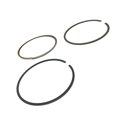 Polaris ATV STD Ring Kit, Genuine OEM Part 2204733, Qty 1
