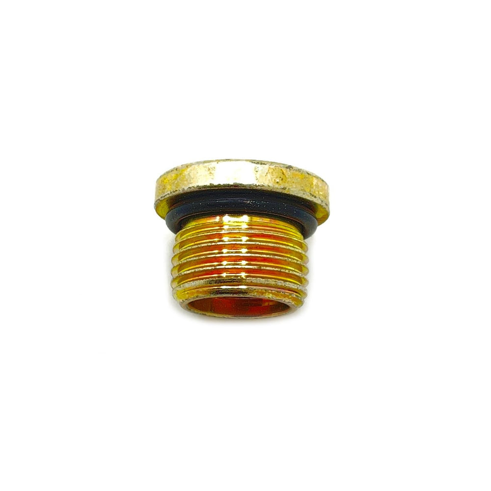 
                      
                        Polaris GEM Socket Head Plug, 18 mm x 1.5 mm, Genuine OEM Part 3234755, Qty 1
                      
                    