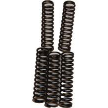 Clutch Springs Csk110