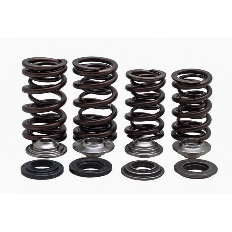 Racing Valve Spring Kit