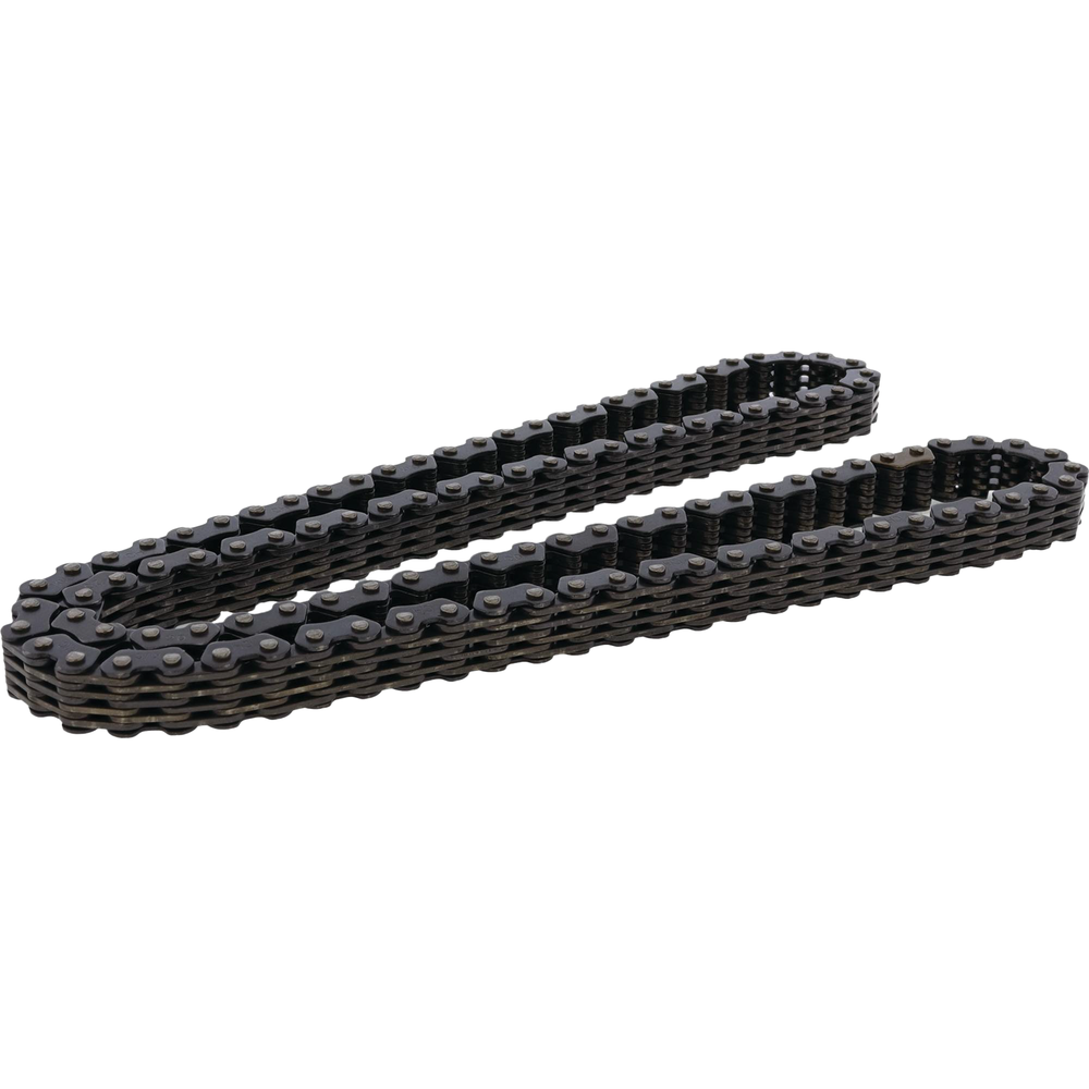 Cam Chain