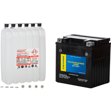 Battery Ctx30l Bs Ft Maintenance Free