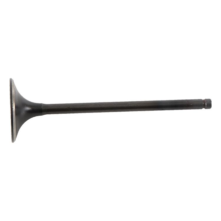 Intake Valve Steel
