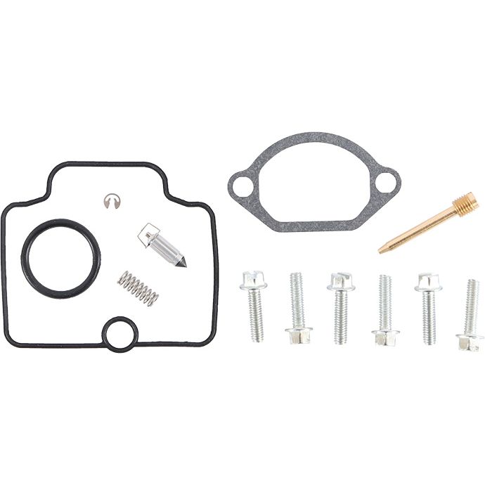 Carburetor Repair Kit