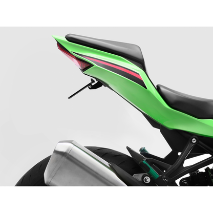 Flat Out Fender Eliminator Kaw