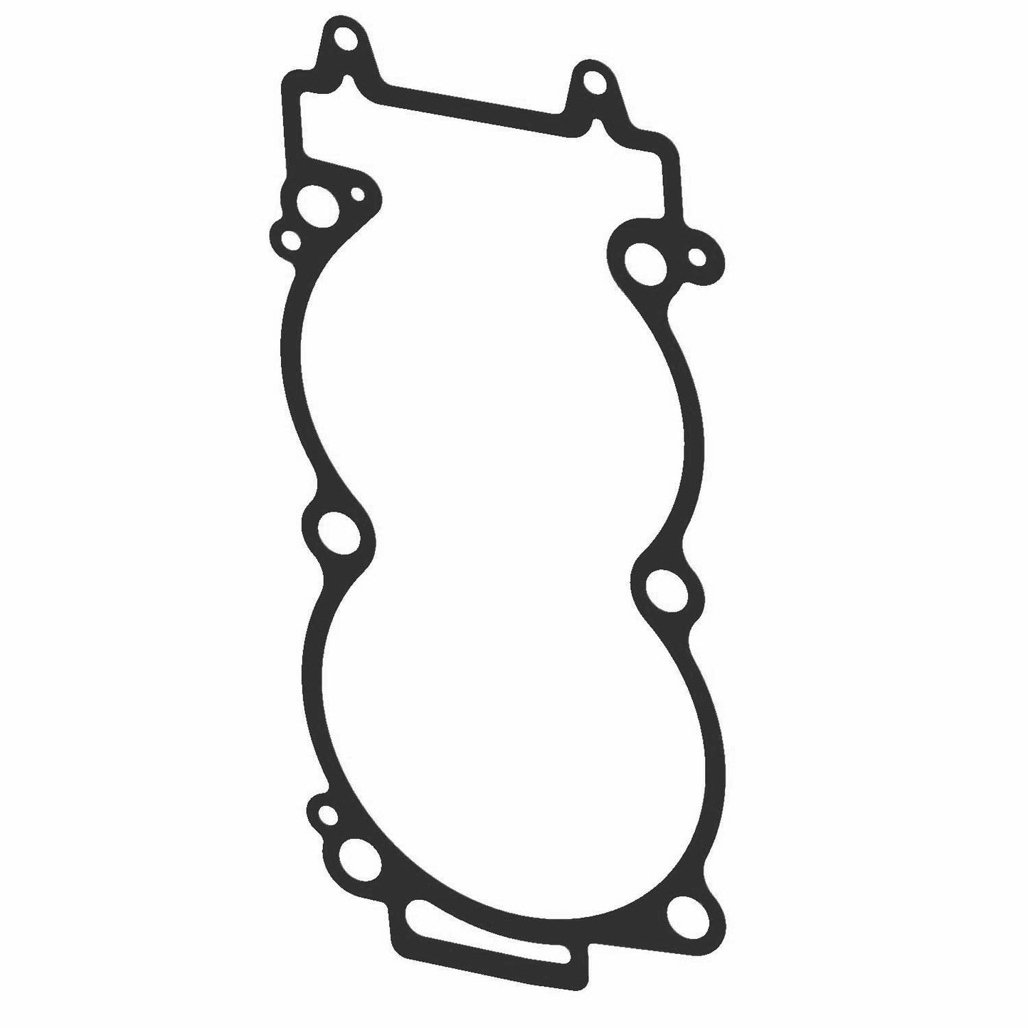 Polaris RZR Base Gasket, 2 Cylinder, Genuine OEM Part 5253037, Qty 1