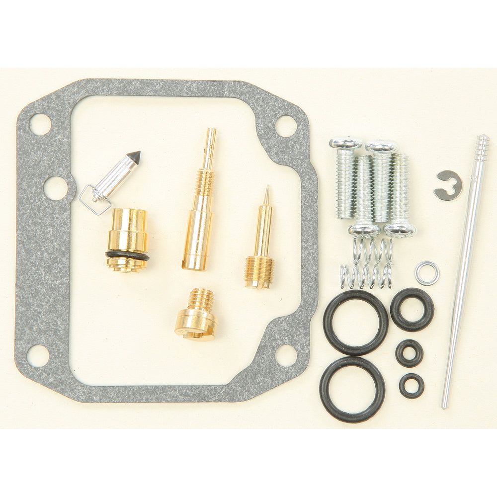 Carburetor Repair Kit