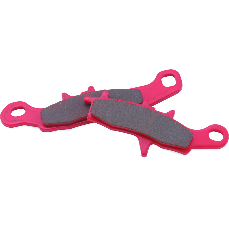 BikeMaster Kawasaki Sintered Brake Pads