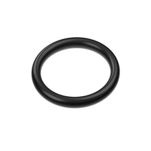 Can-Am O-Ring 420950860