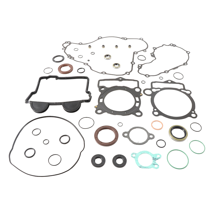 Complete Gasket Set With Oil Seals