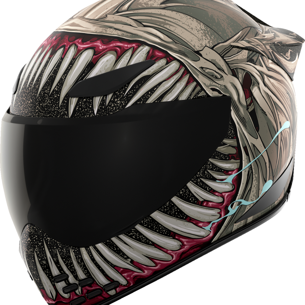 ICON Domain* Helmet - Grand Maw - Gray - XL 010117298