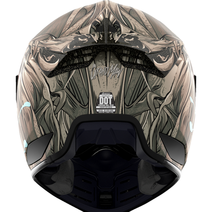 ICON Domain* Helmet - Grand Maw - Gray - XL 010117298