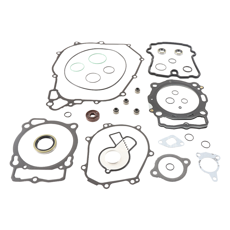 Complete Gasket Set With Oil Seals