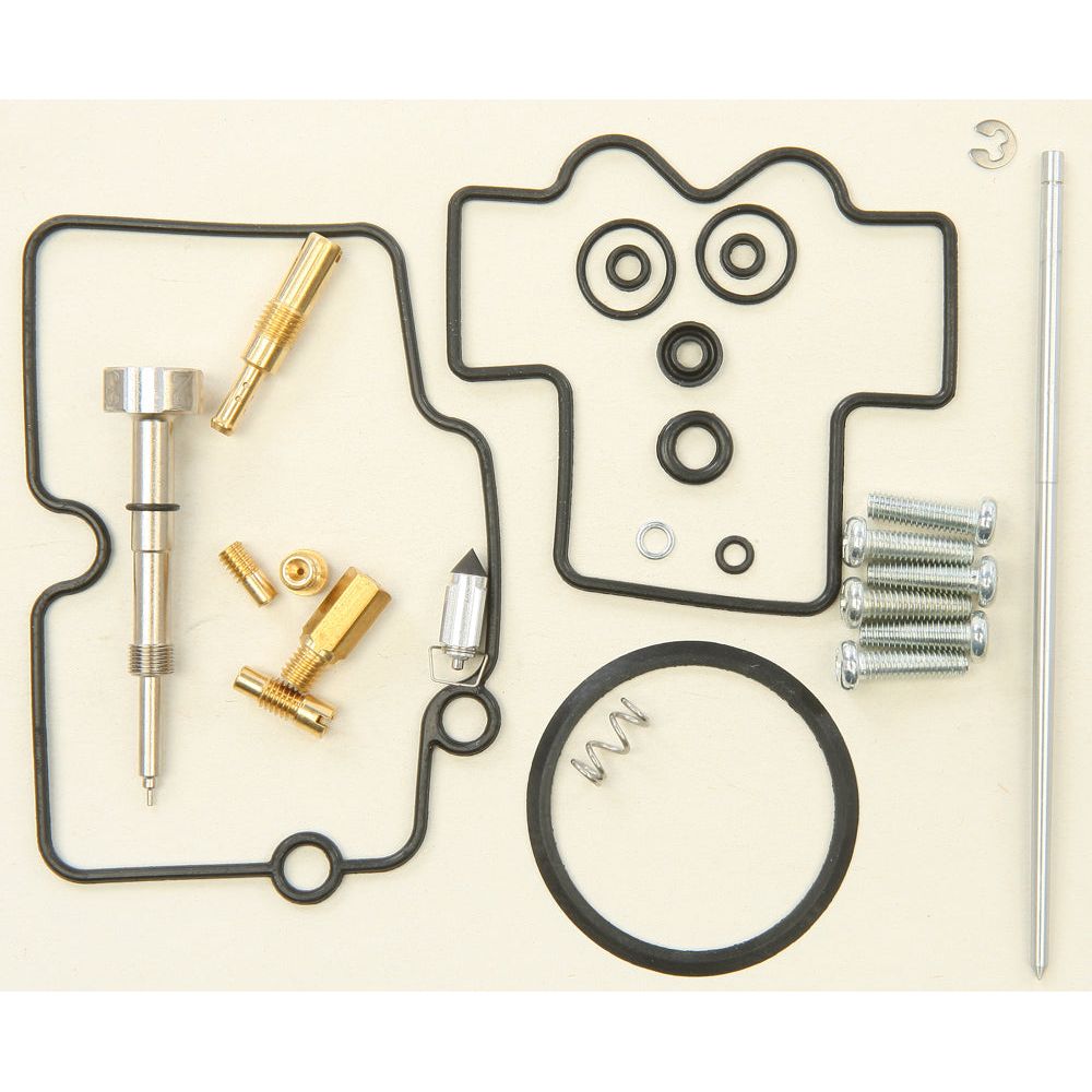 Carburetor Repair Kit