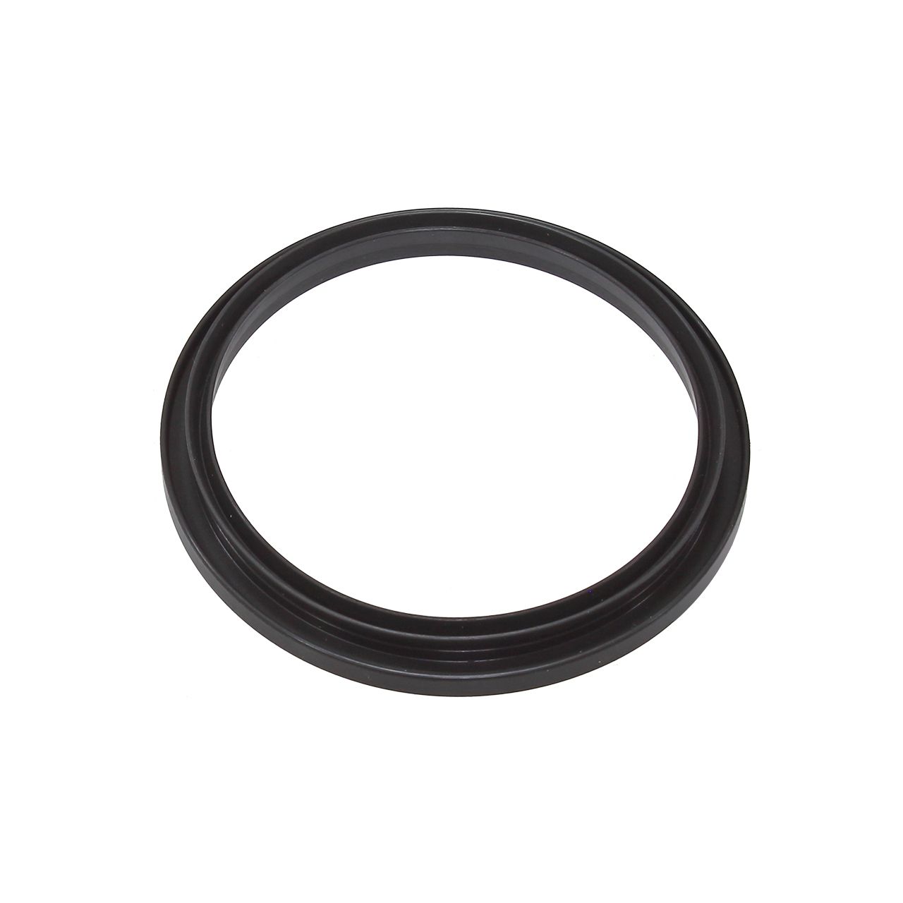 Fuel Pump Seal