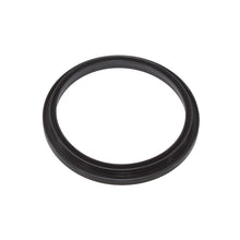 Fuel Pump Seal