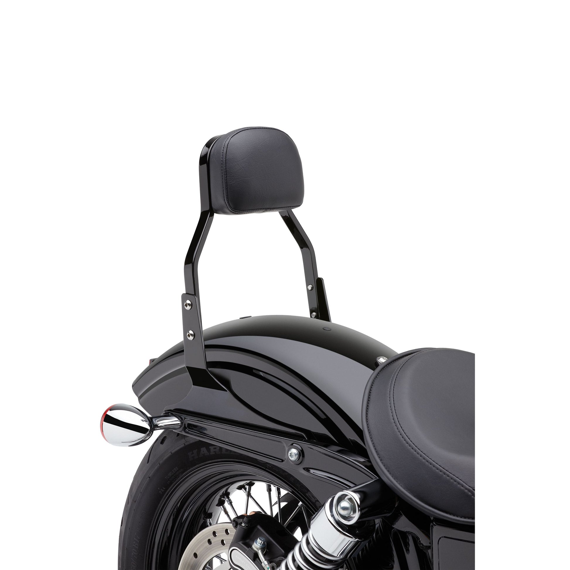 Mini Sissy Bar Black Flh/Flt 07 17