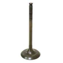 Intake Valve