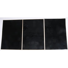 Universal Number Plate Black 3/Pk