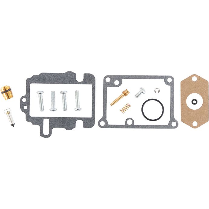 Carburetor Repair Kit