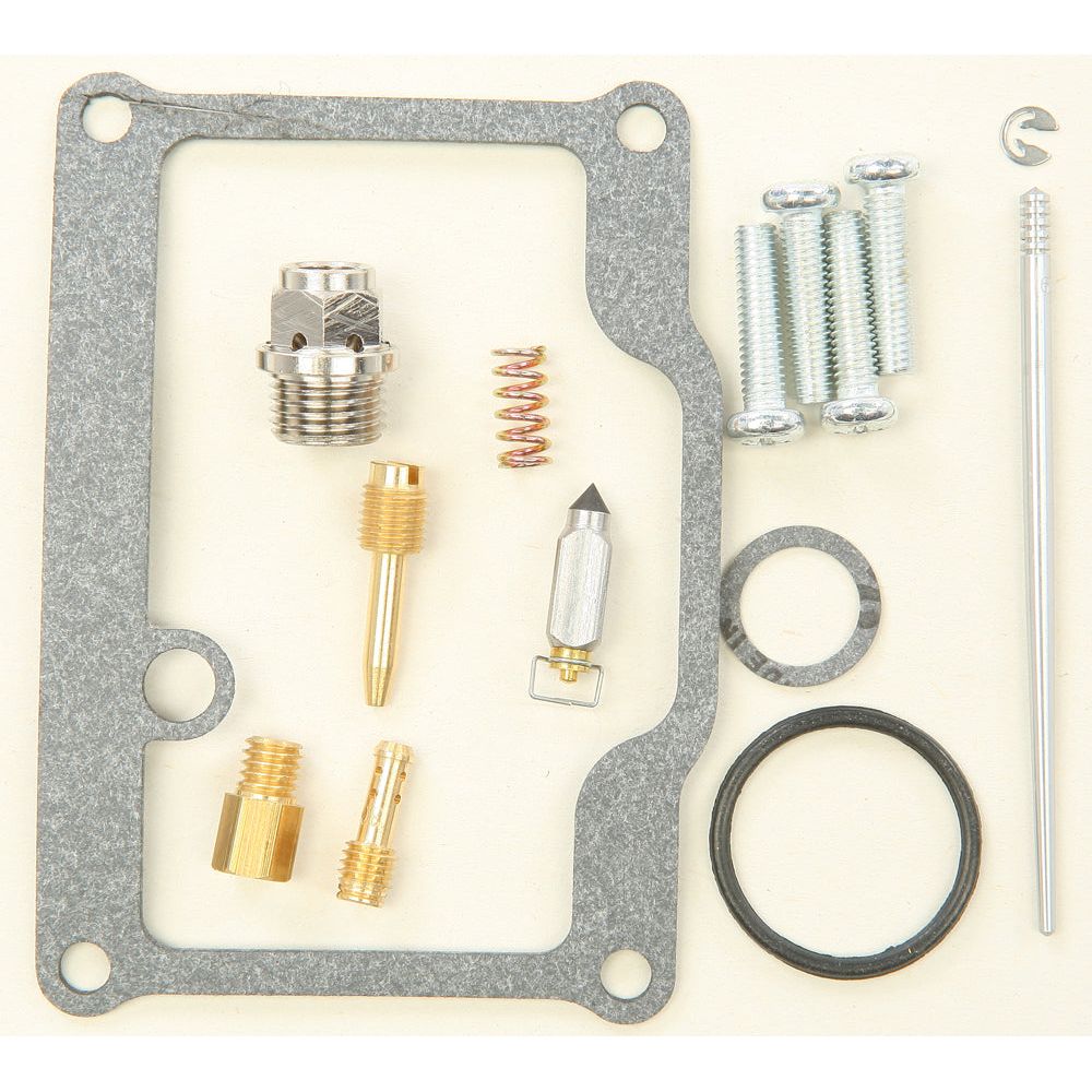 Carburetor Repair Kit