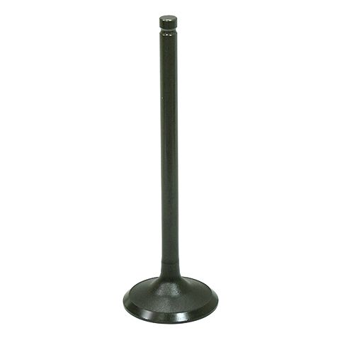Exhaust Valve