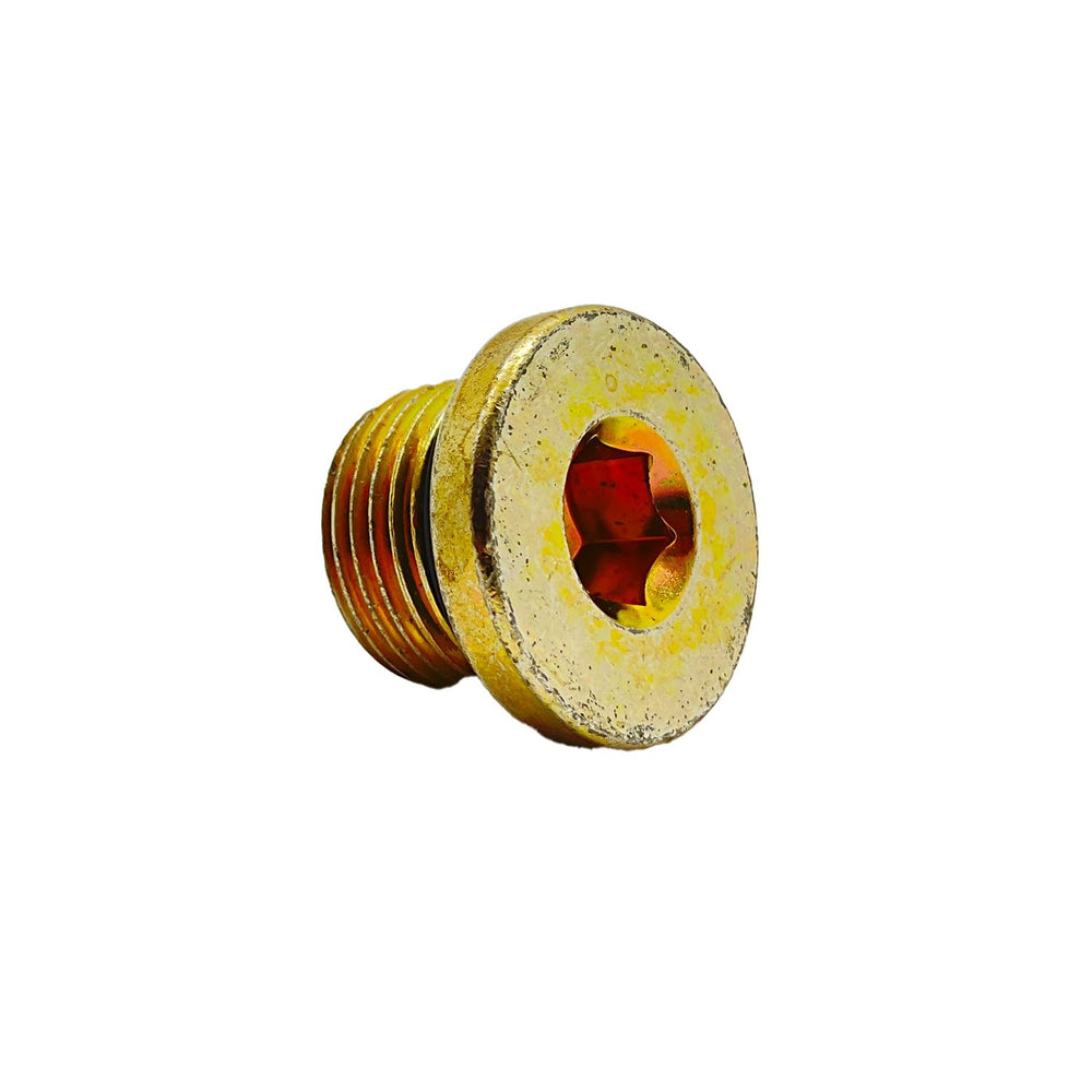 
                      
                        Polaris GEM Socket Head Plug, 18 mm x 1.5 mm, Genuine OEM Part 3234755, Qty 1
                      
                    
